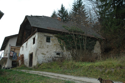 Javor - Hiša Javor 10