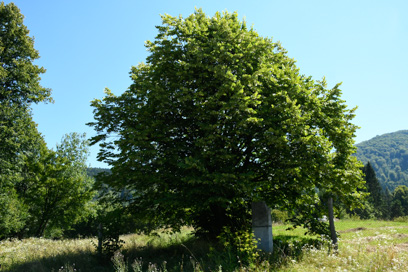Črmošnjice - Spomenik NOB