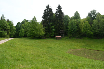 Topličice - Opuščena kočevarska vas