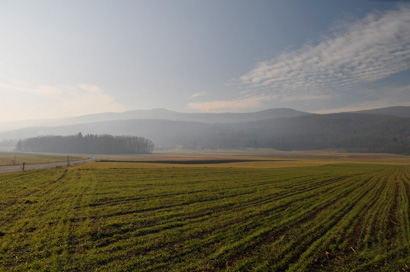 Breznik pri Črnomlju - Prazgodovinska naselbina