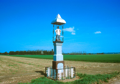 Iljaševci - Kip sv. Frančiška Ksaverija