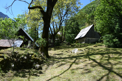 Bavšica - Prestaja Bavšica 24