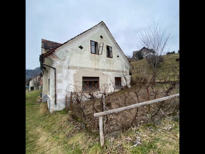 Ljubno ob Savinji - Hiša Rore 6