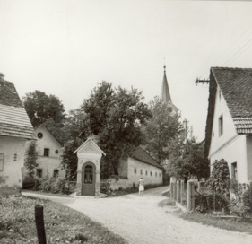 Trboje - Domačija Trboje 54