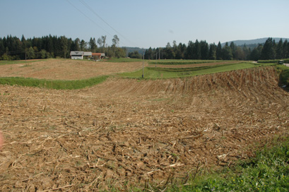 Bušinec - Prazgodovinska naselbina Dolnji Bušinec