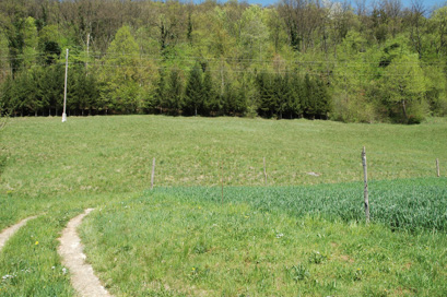 Gorenje Polje - Arheološko območje Gorenje Polje