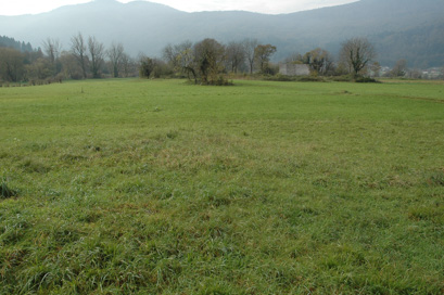 Gorenje Polje - Arheološko območje Griče