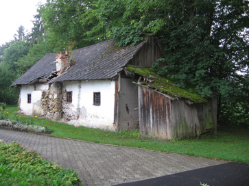 Milje - Kajža Milje 9