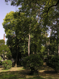 Izola - Park Arrigoni