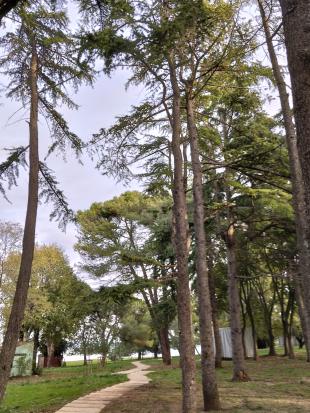 Izola - Park Punta