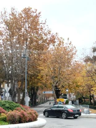 Izola - Drevored 1. maja