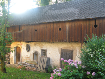 Olševek - Kajža Olševek 21