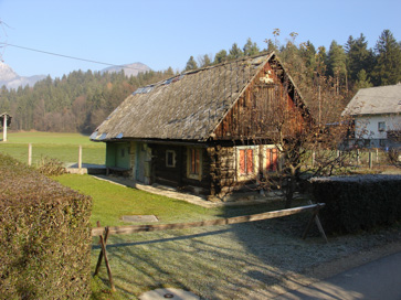 Olševek - Kajža Olševek 36