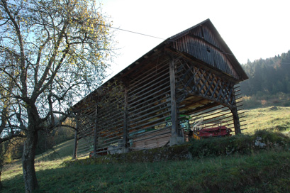 Dobovec - Kozolec na domačiji Dobovec 42