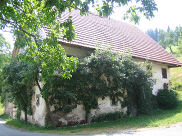 Goropeke - Hiša na domačiji Goropeke 12