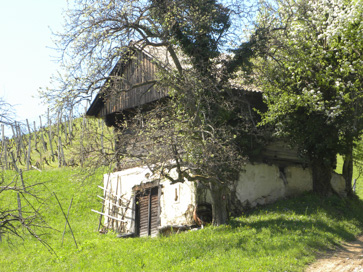 Babna Reka - Domačija Babna Reka 25