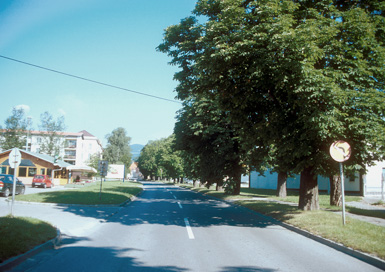 Slovenska Bistrica - Kostanjev drevored ob Kolodvorski ulici