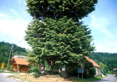 Kopivnik - Vaški križ