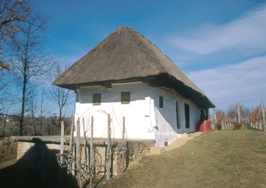 Filovci - Grofova klet