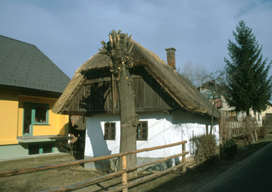 Filovci - Domačija Černelovo