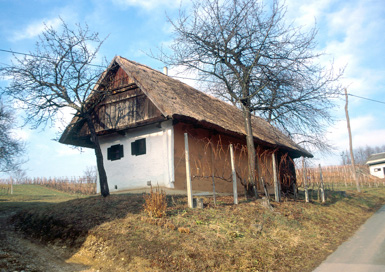 Filovci - Balažna klet