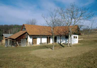 Bukovnica - Tratna klet