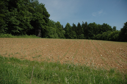 Šmarješke Toplice - Gomilno grobišče Resnice