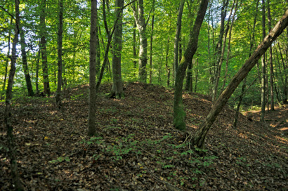 Brezovica pri Šmarjeti - Gomilno grobišče Hrastovec