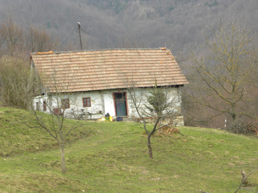 Trebče - Domačija Trebče 52