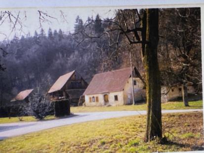 Letuš - Domačija Letuš 46