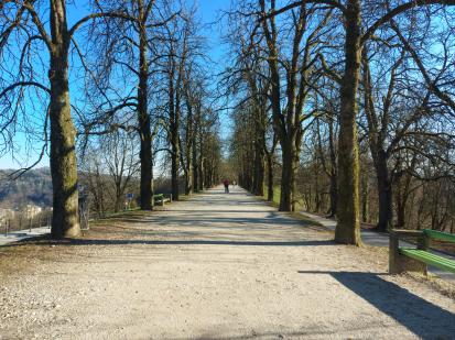 Ljubljana - Parkovna ureditev grajske planote