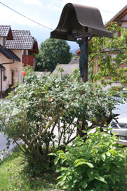 Zgoša - Razpelo v osrednjem delu vasi
