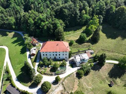 Trstenik pri Mirni - Dvorec Kot