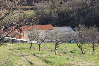 Dolenja vas pri Senožečah - Domačija Dolenja vas 49