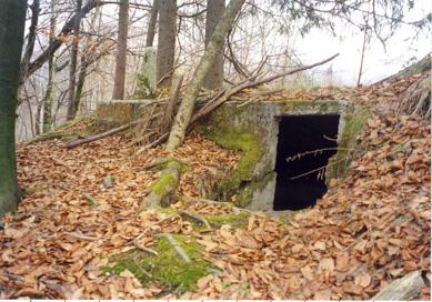 Vrhnika - Bunker v Blatnem dolu
