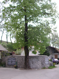 Rakek - Vodni zbiralnik