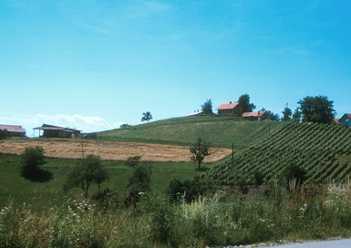 Drakšl - Prazgodovinska naselbina