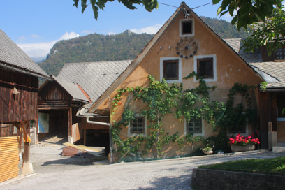 Begunje na Gorenjskem - Domačija Begunje na Gorenjskem 43