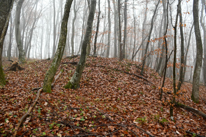 Rihpovec - Prazgodovinska gomila