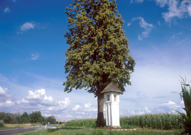 Šikole - Znamenje