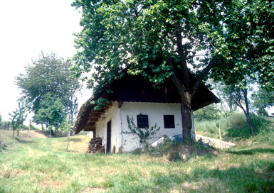 Dobrovnik - Martonova klet