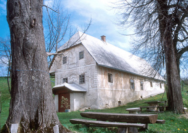 Gaj nad Mariborom - Zidanica na domačiji Gaj nad Mariborom 50