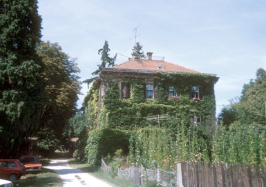 Visole - Vinogradniški dvorec Visole 40