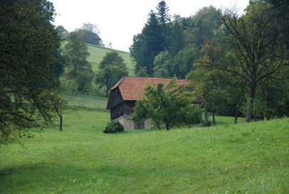 Planinska vas - Preužitkarska hiša Planinska vas 11