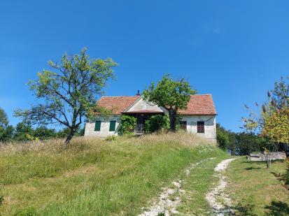 Gruškovec - Furstov štok