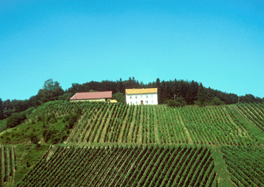 Kresnica - Domačija Ornik