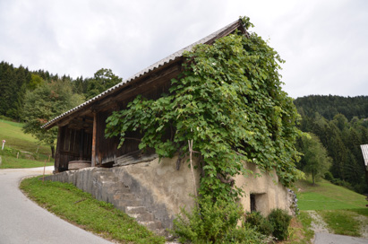 Sveti Primož nad Muto - Kašča pri Poltniku