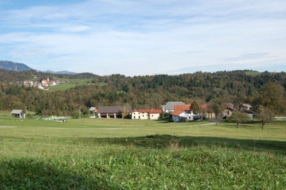 Polje pri Šentviški Gori - Vas