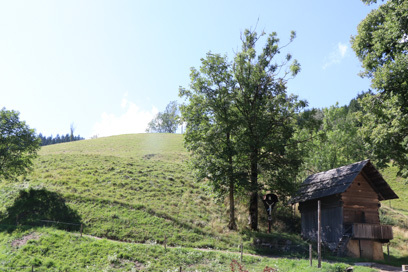 Zgornje Jezersko - Kašča in razpelo pri domačiji Zgornje Jezersko 114