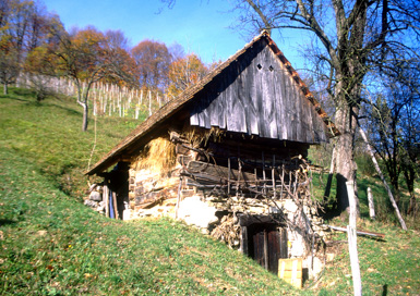Preša - Štjanetva preša